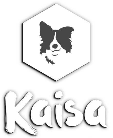 www.kaisakoiranruoka.fi